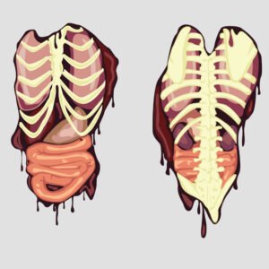 halloween torso organos frontal y posterior