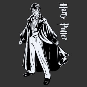 harry potter sintesis gráfica