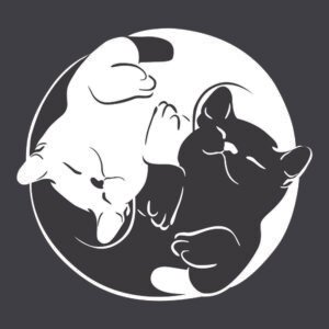 ying yang gatos blanco y negro