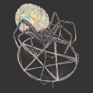 araña y telaraña diseño de neón