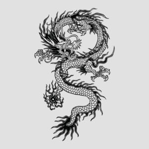 Dragon Chinese