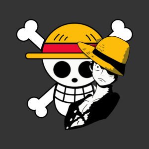 One Piece Luffy Sombra